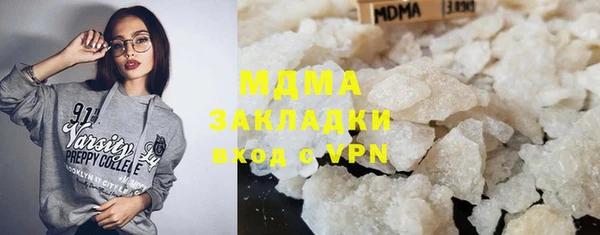 прущие грибы Волоколамск