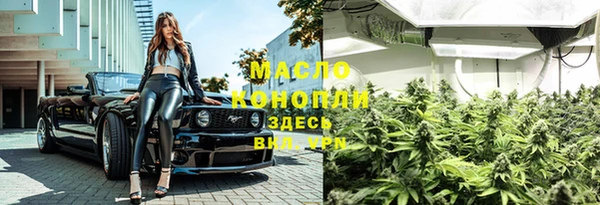 молекула духа Вязьма