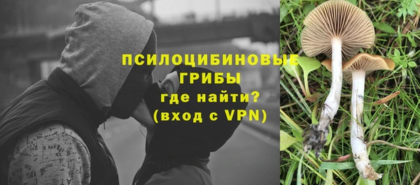 a pvp Вяземский